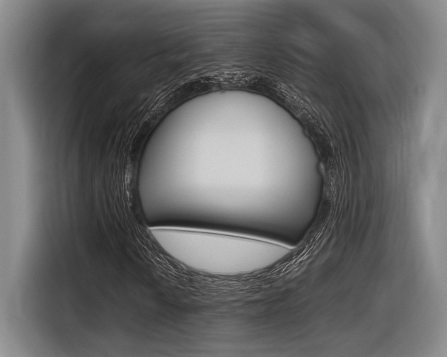X0000116621010200912110936