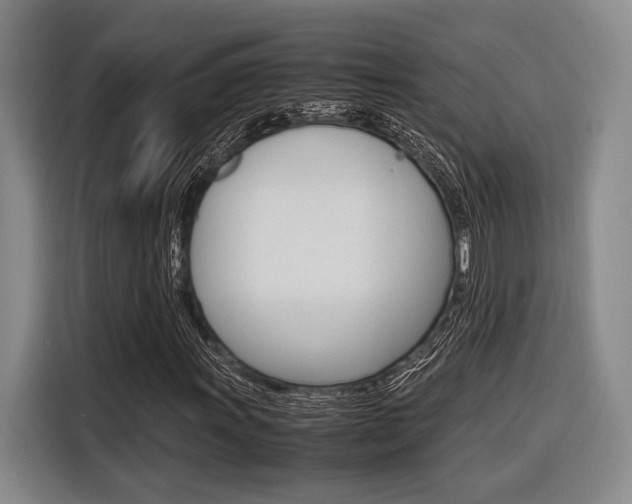 X0000116621011200912110936