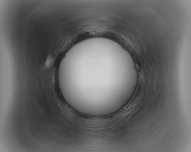 X0000116621012200912110936