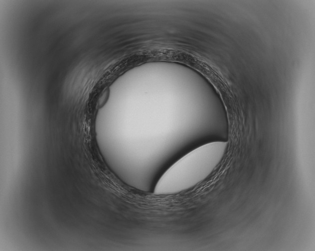 X0000116621013200912110936