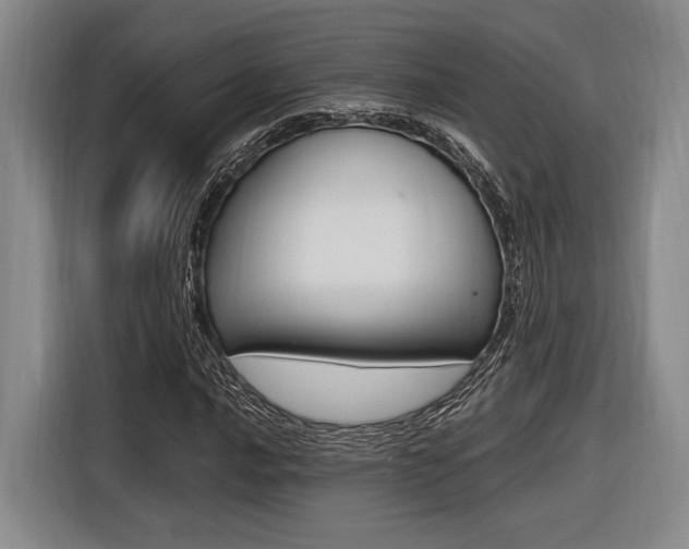 X0000116621016200912110936