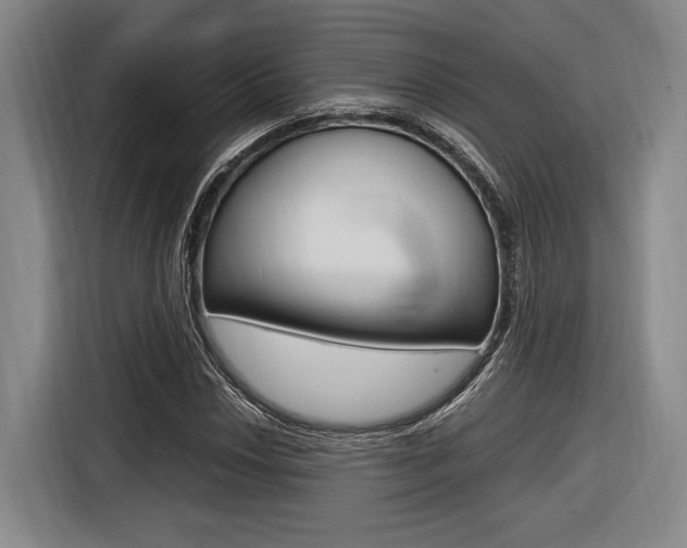 X0000116621018200912110936