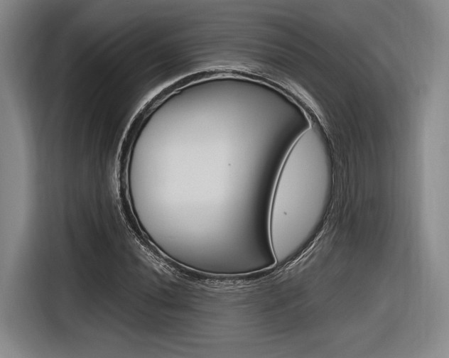 X0000116621020200912110936