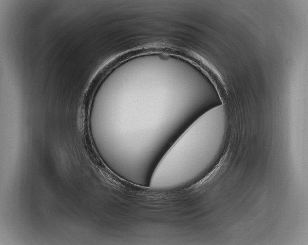X0000116621021200912110936