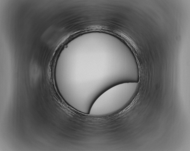 X0000116621023200912110936