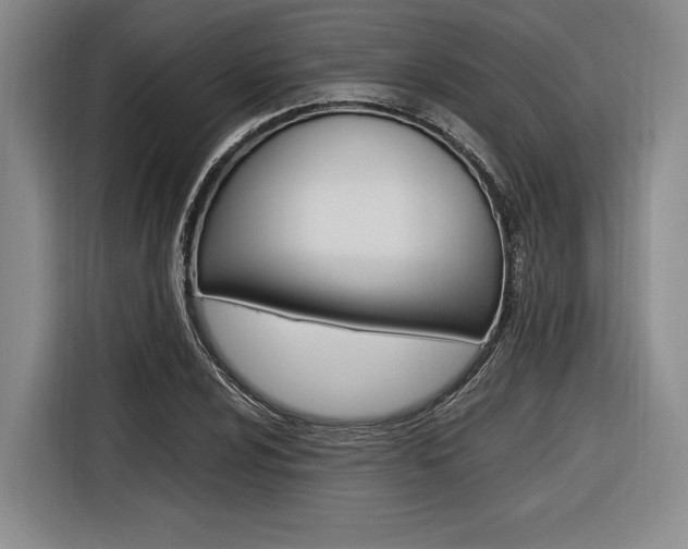 X0000116621024200912110936