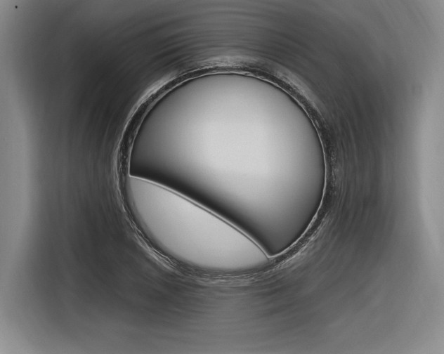 X0000116621026200912110936
