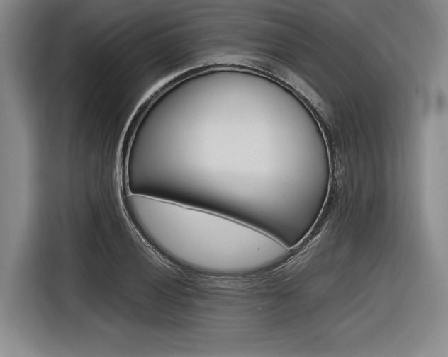 X0000116621028200912110936