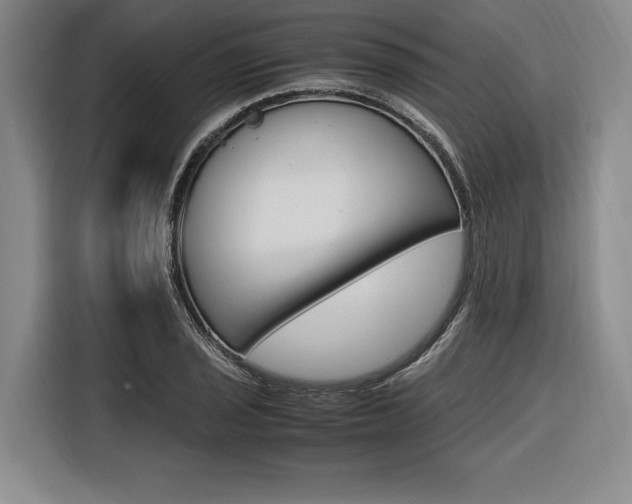 X0000116621029200912110936