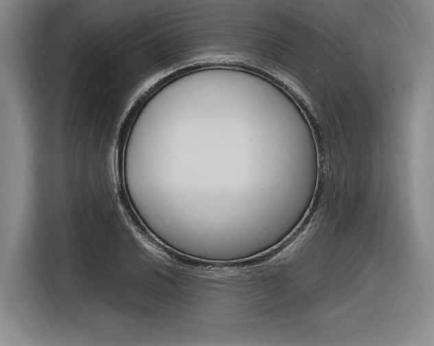 X0000116621030200912110937