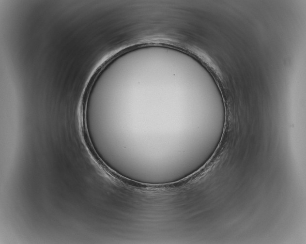 X0000116621032200912110937
