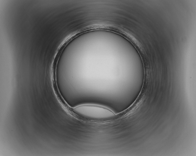 X0000116621034200912110937