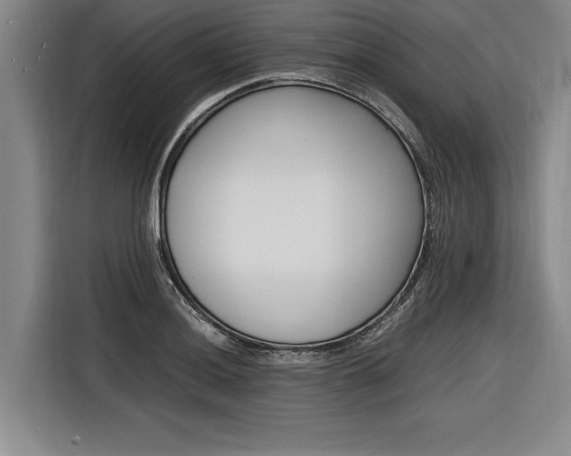 X0000116621036200912110937