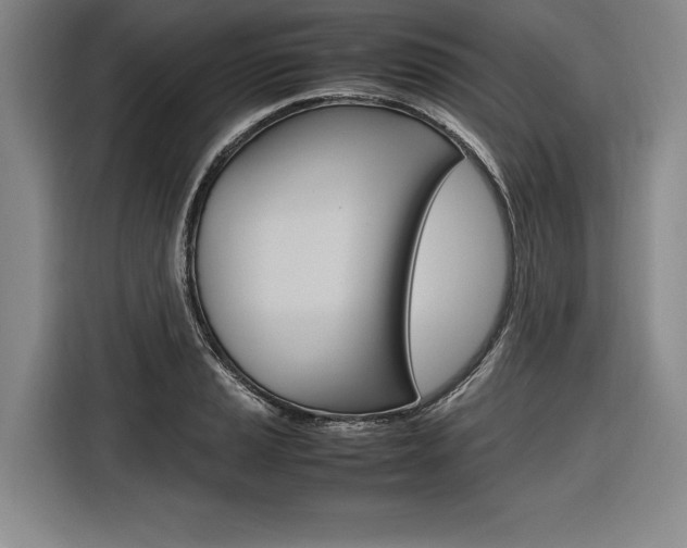X0000116621037200912110937