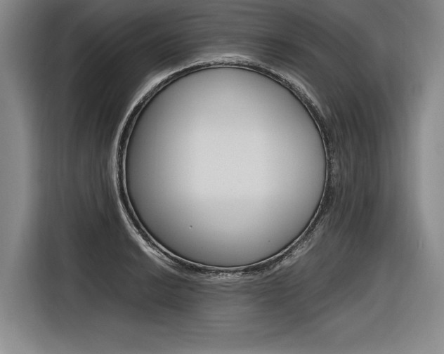 X0000116621038200912110937