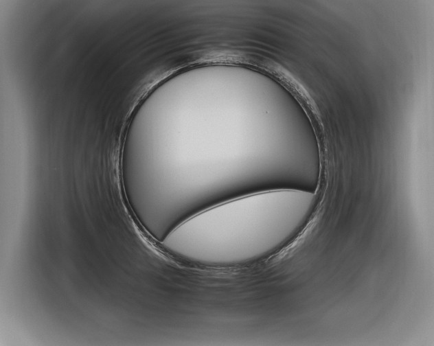 X0000116621041200912110937