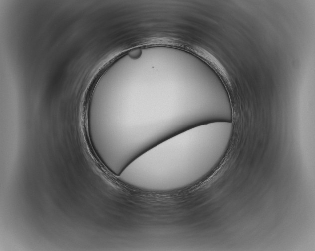 X0000116621043200912110937
