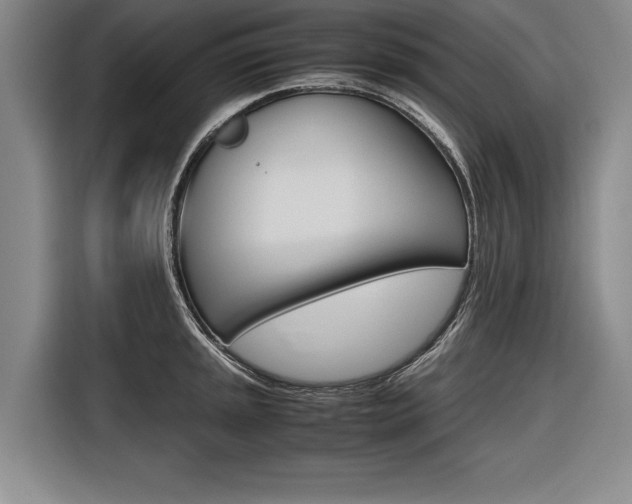 X0000116621045200912110937
