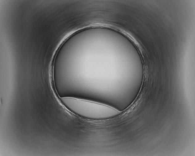 X0000116621048200912110937