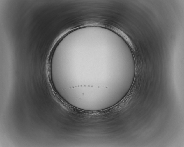 X0000116621051200912110937