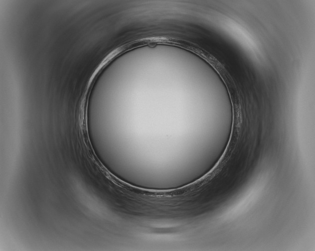 X0000116621052200912110937