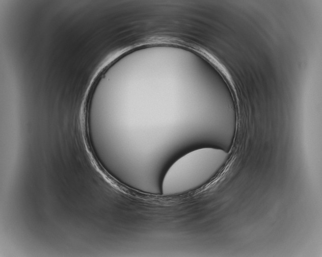X0000116621053200912110937