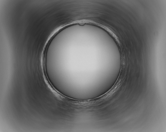 X0000116621054200912110937