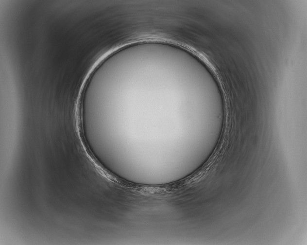 X0000116621056200912110937
