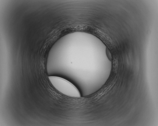 X0000116621058200912110936