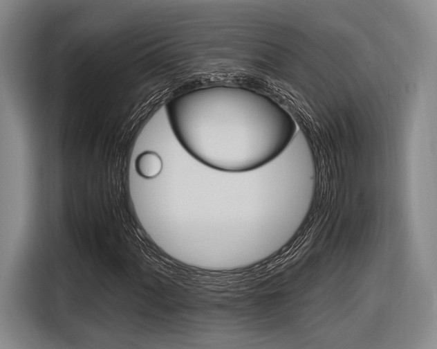 X0000116621060200912110936