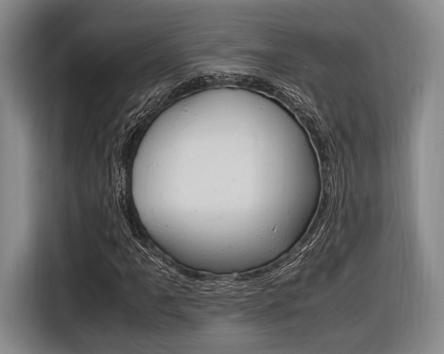X0000116621061200912110936