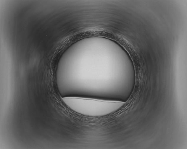 X0000116621062200912110936
