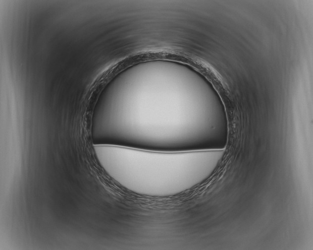 X0000116621064200912110936