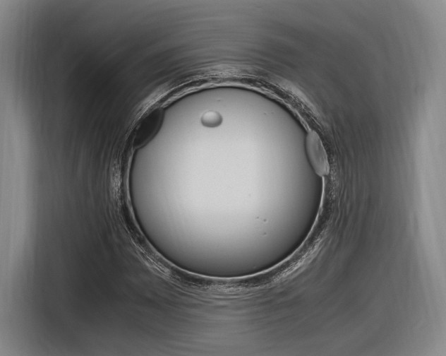 X0000116621065200912110936