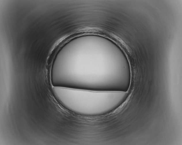 X0000116621066200912110936