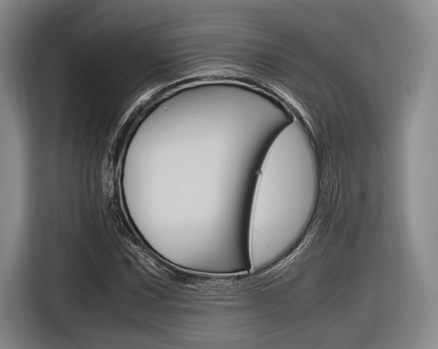 X0000116621067200912110936