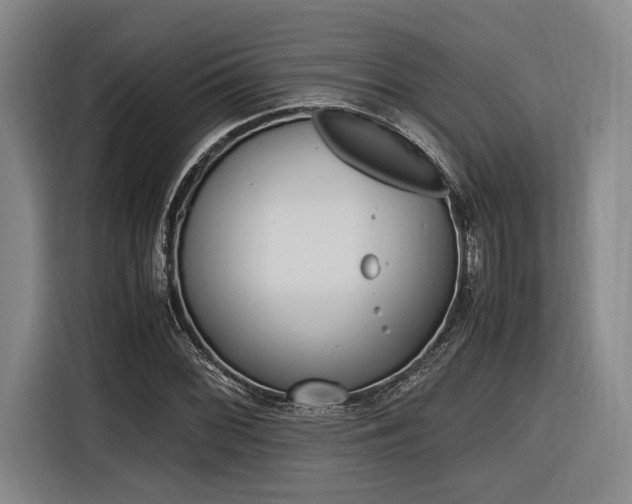 X0000116621068200912110936