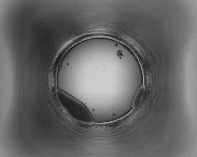 X0000116621069200912110936