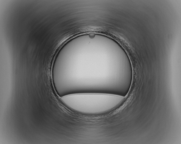 X0000116621073200912110936