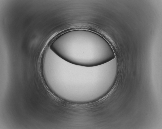 X0000116621075200912110936