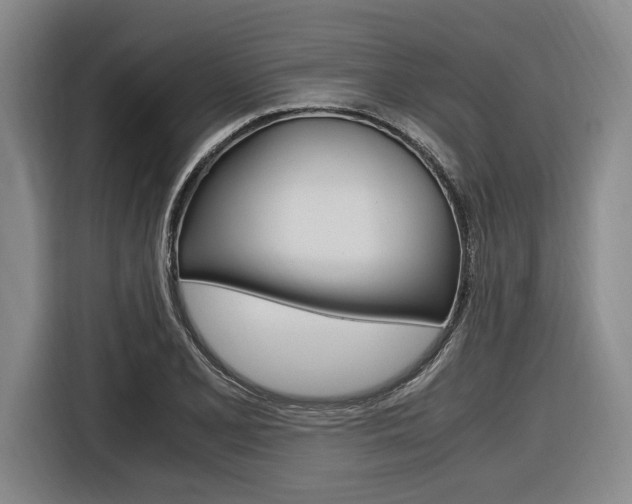 X0000116621077200912110936