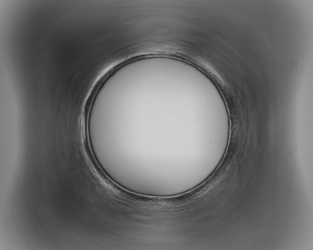X0000116621079200912110936