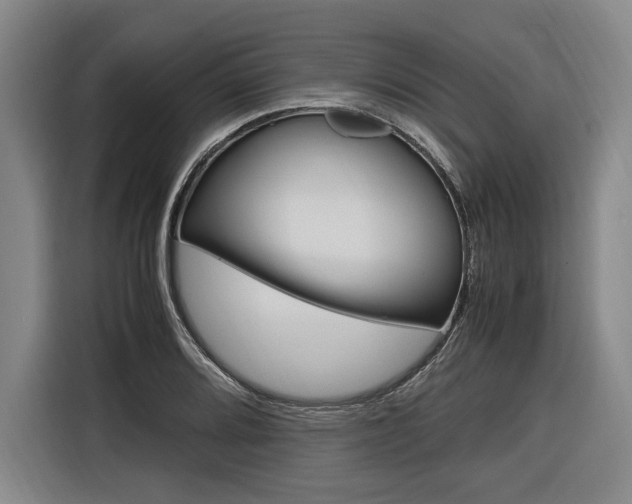 X0000116621080200912110936