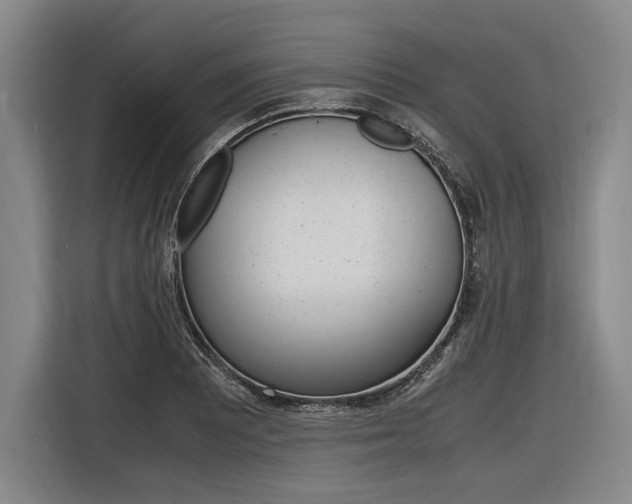 X0000116621081200912110936