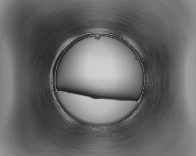 X0000116621082200912110936