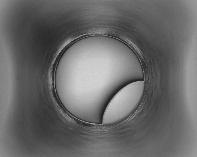 X0000116621083200912110936