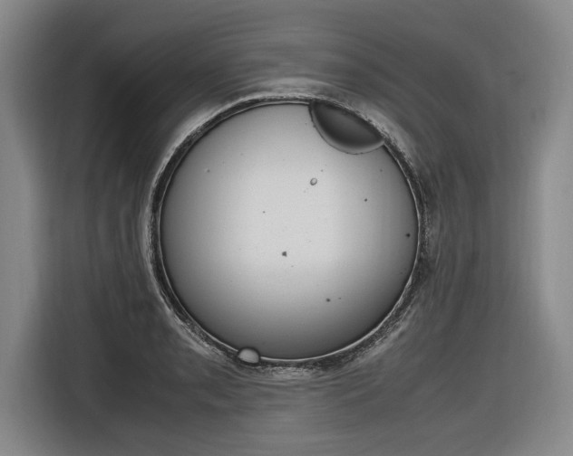 X0000116621085200912110936