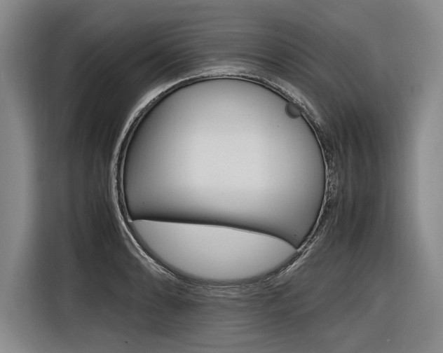 X0000116621086200912110936
