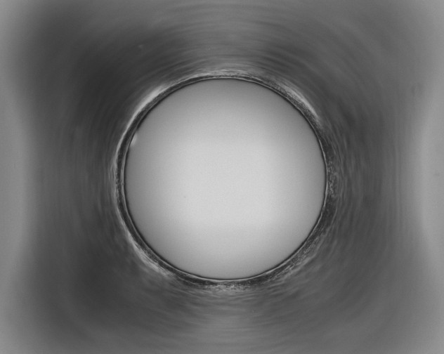 X0000116621087200912110936