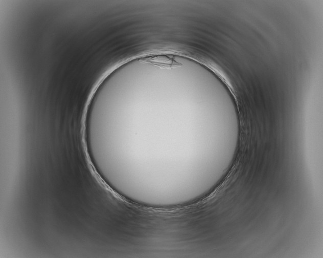 X0000116621088200912110936